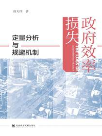 政府效率损失：定量分析与规避机制