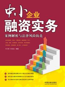 中小企业融资实务：案例解析与法律风险防范