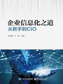 企业信息化之道：从新手到CIO