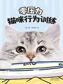 零压力猫咪行为训练