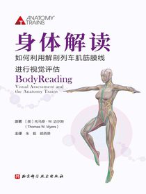 身体解读：如何利用解剖列车肌筋膜线进行视觉评估