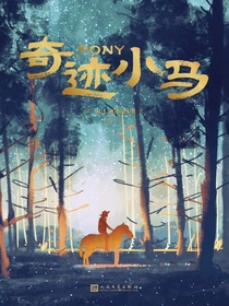 奇迹小马