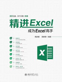 精进Excel：成为Excel高手