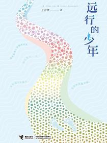 远行的少年