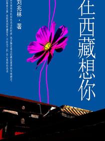 在西藏想你