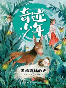 黑暗森林的光（奇迹少年）