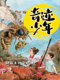 风原上的守护神（奇迹少年）