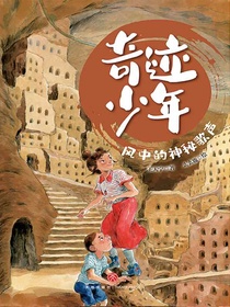 风中的神秘歌声（奇迹少年）