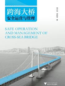 跨海大桥安全运营与管理