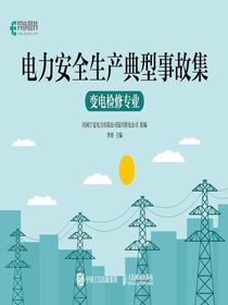 电力安全生产典型事故集：变电检修专业
