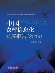 中国农村信息化发展报告（2019）