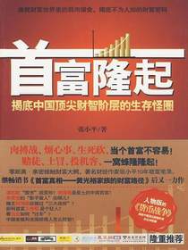 首富隆起：揭底中国顶尖财智阶层的生存怪圈