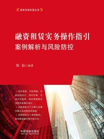 融资租赁实务操作指引：案例解析与风险防控