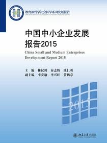 中国中小企业发展报告2015