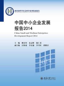 中国中小企业发展报告2014
