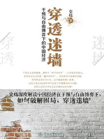 穿透迷墙：干预与自由博弈下的中国经济