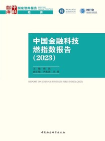中国金融科技燃指数报告2023