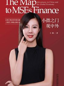 小微之门观中外