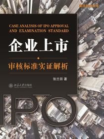 企业上市审核标准实证解析