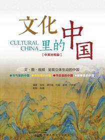 文化里的中国
