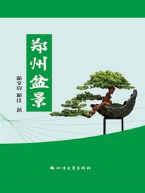 郑州盆景