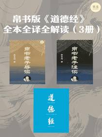 帛书版道德经全本全译全解读（三册）