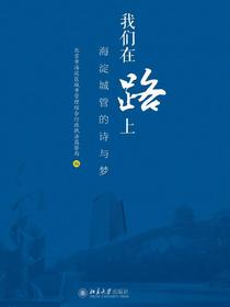我们在路上：海淀城管的诗与梦