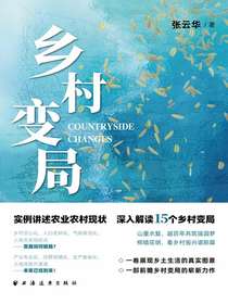 乡村变局