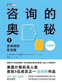 咨询的奥秘2：咨询师的百宝箱（珍藏版）