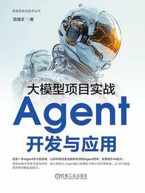 大模型项目实战：Agent开发与应用