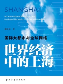 世界经济中的上海：国际大都市与全球网络