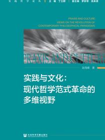 实践与文化：现代哲学范式革命的多维视野（实践哲学论丛）