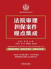 法院审理担保案件观点集成