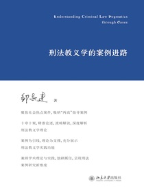 刑法教义学的案例进路