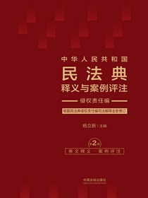 中华人民共和国民法典释义与案例评注：侵权责任编（第2版）
