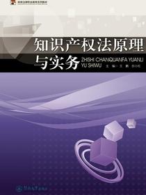 知识产权法原理与实务