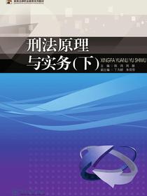 刑法原理与实务（下）（高等法律职业教育系列教材）