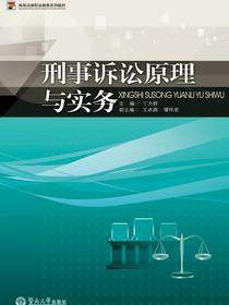 刑事诉讼原理与实务
