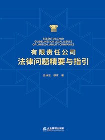 有限责任公司法律问题精要与指引
