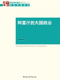 阿富汗的大国政治