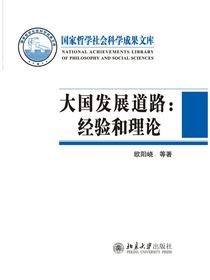 大国发展道路：经验和理论