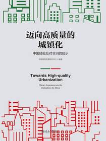 迈向高质量的城镇化：中国经验及对非洲的启示