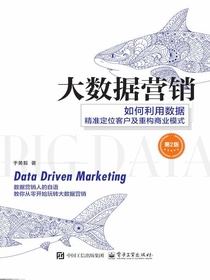 大数据营销：如何利用数据精准定位客户及重构商业模式（第2版）