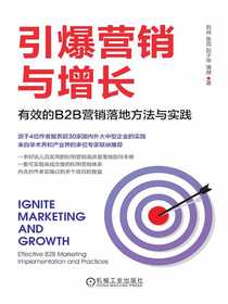 引爆营销与增长：有效的B2B营销落地方法与实践