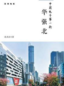 中国电子第一街：华强北