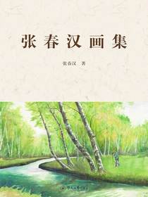 张春汉画集