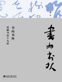 书内书外：沈鹏书法十九讲