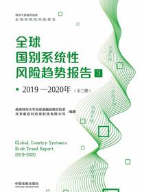 全球国别系统性风险趋势报告3（2019—2020年）