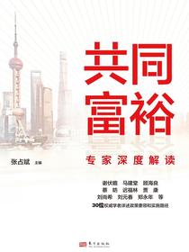 共同富裕专家深度解读