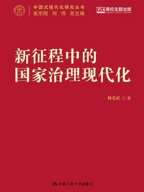 新征程中的国家治理现代化（中国式现代化研究丛书）